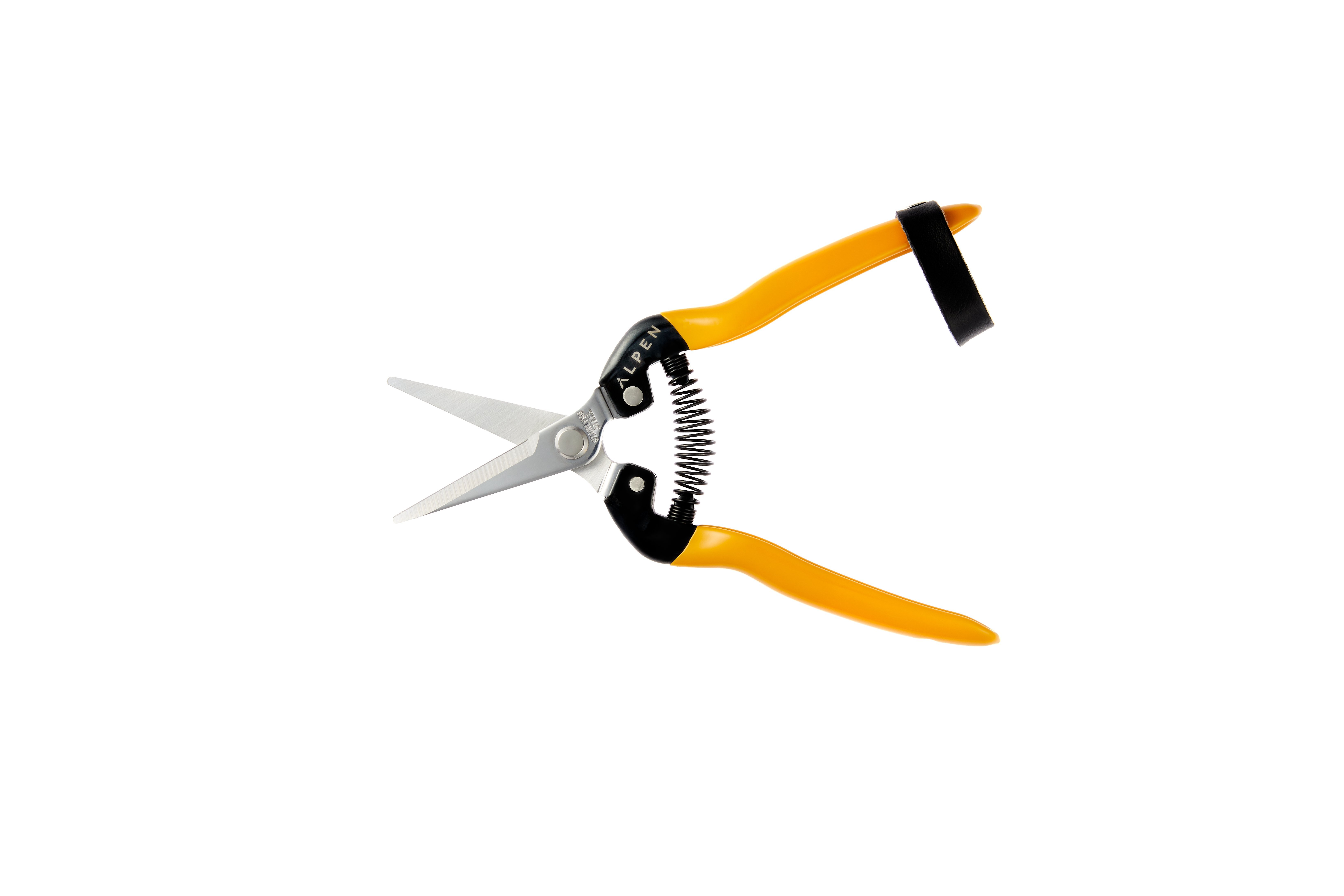 SNIPS_RIGI300_2 SNIPS_RIGI300_2