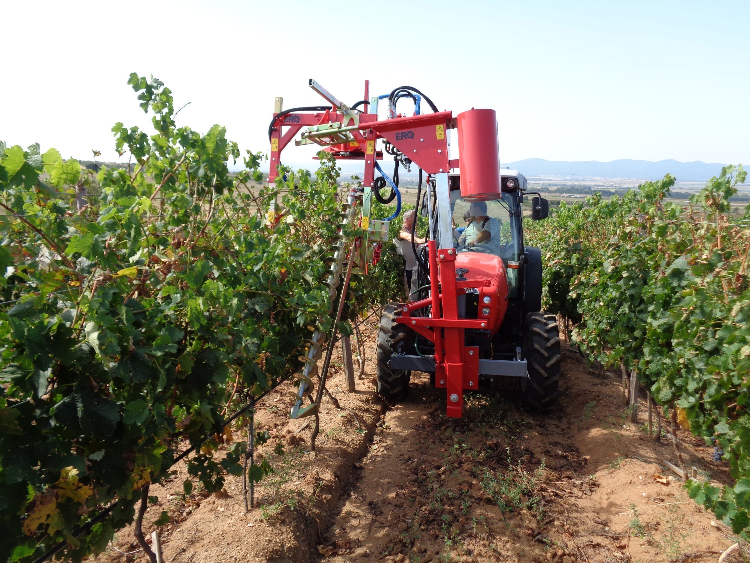 100-%-bez_1 100-%-bez_1