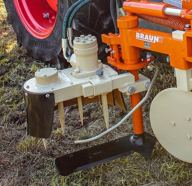 Kyprici-sekce-BRAUN-1