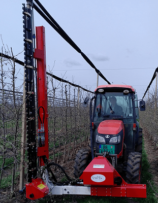 Edward-doppel-BG-Kopie