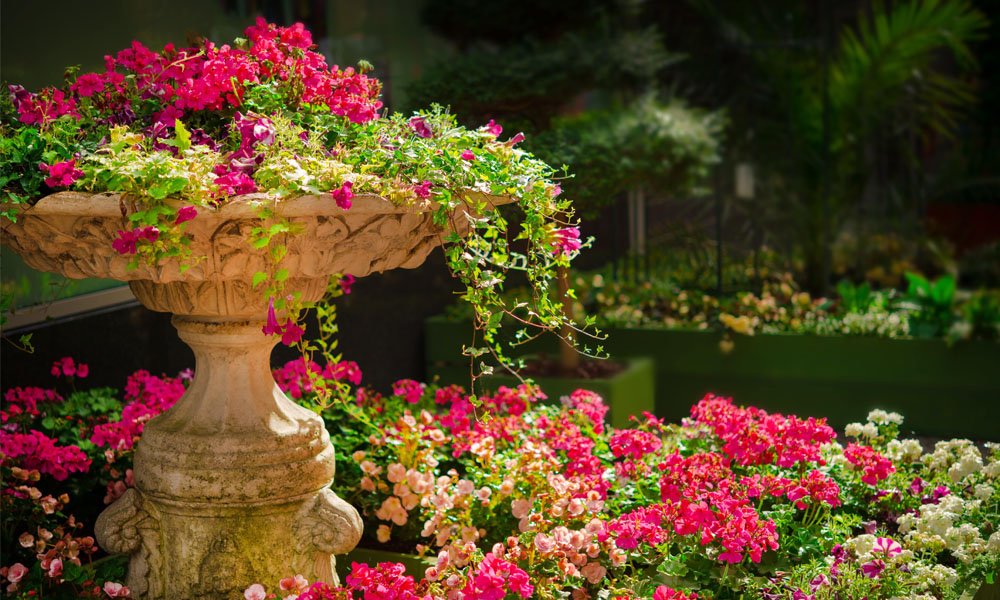 garden-min garden-min
