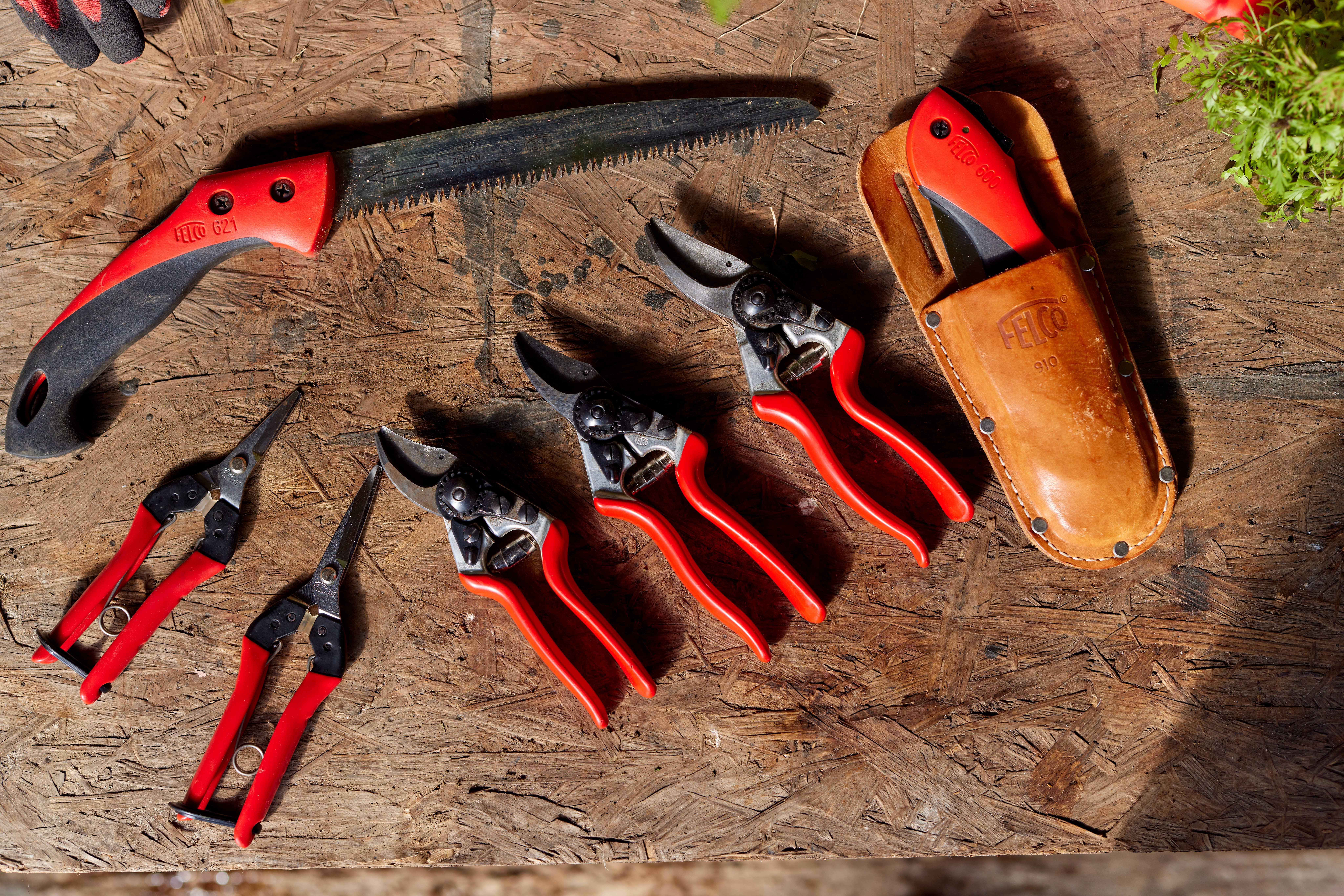 naradi-pro-vinohrady-a-sady-2