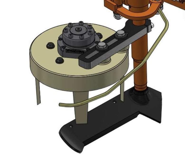 Kyprici-sekce-01355-1