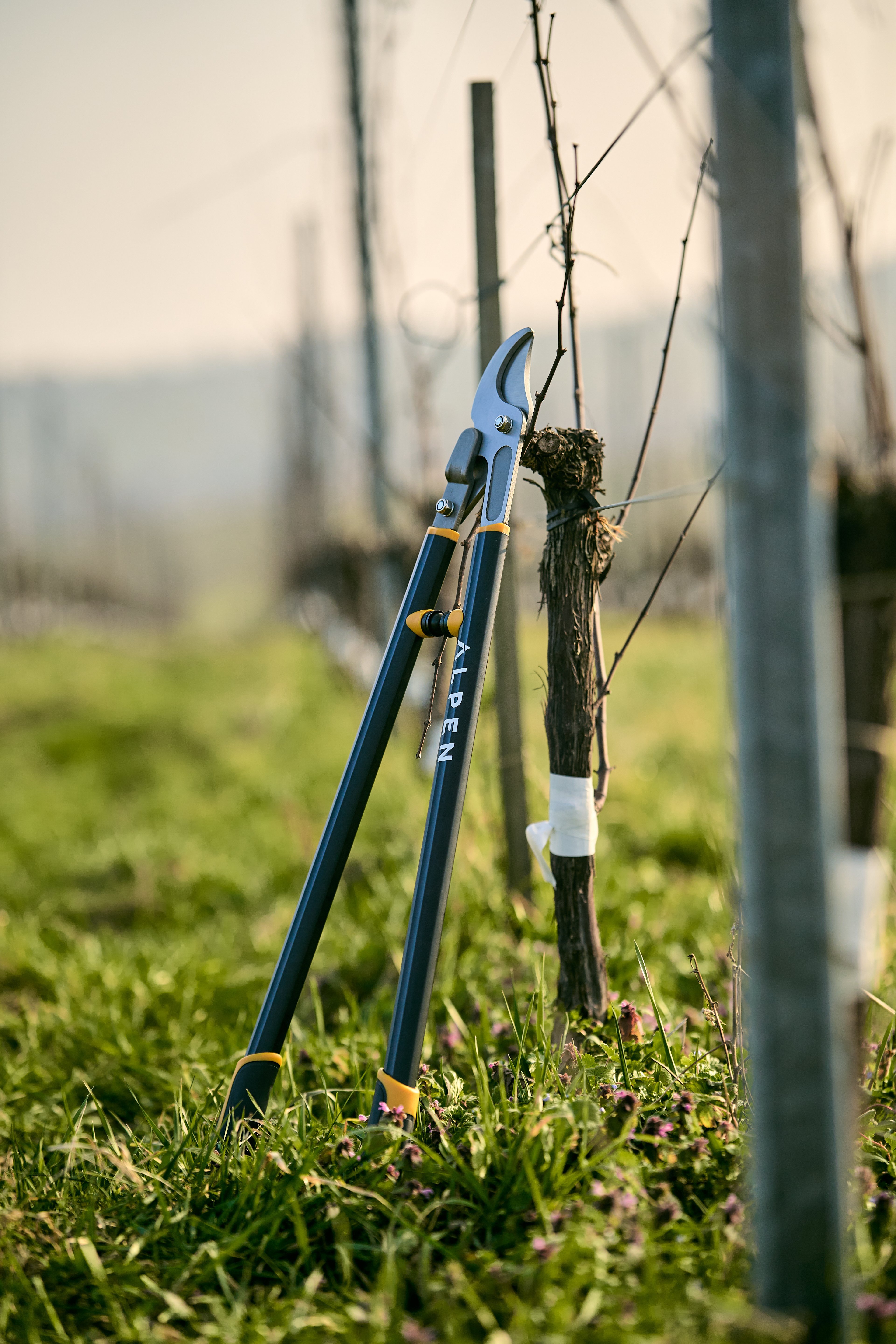 Lopper_Weisshorn-280_4