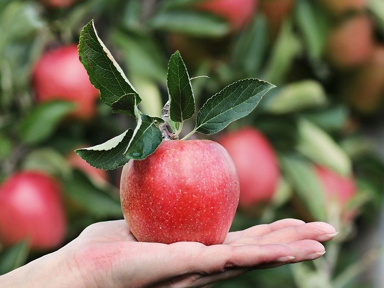 apple-2788662_960_720