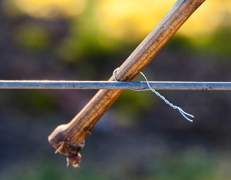 subslider_beli_bindung subslider_beli_bindung