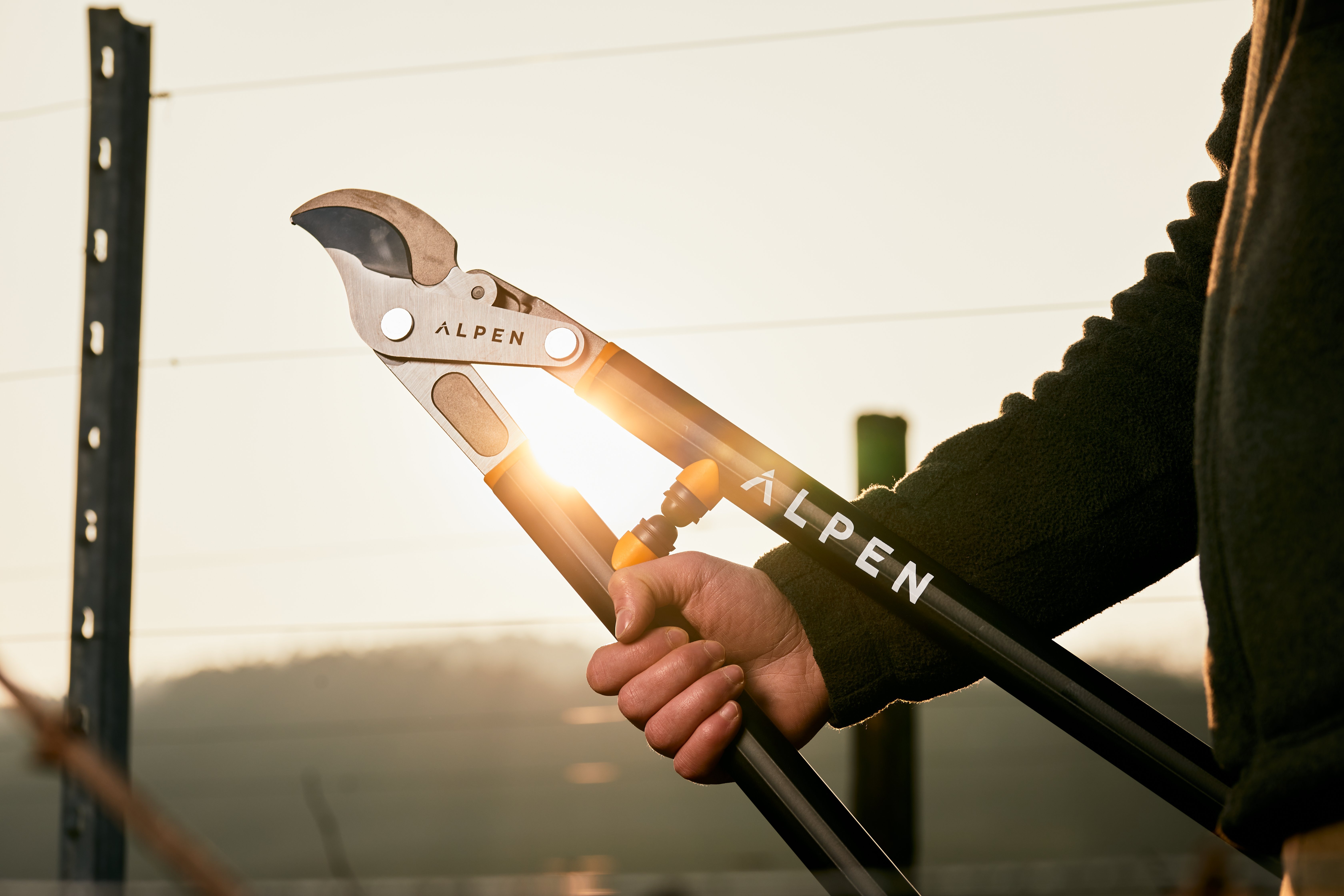 Lopper_Weisshorn-280_5