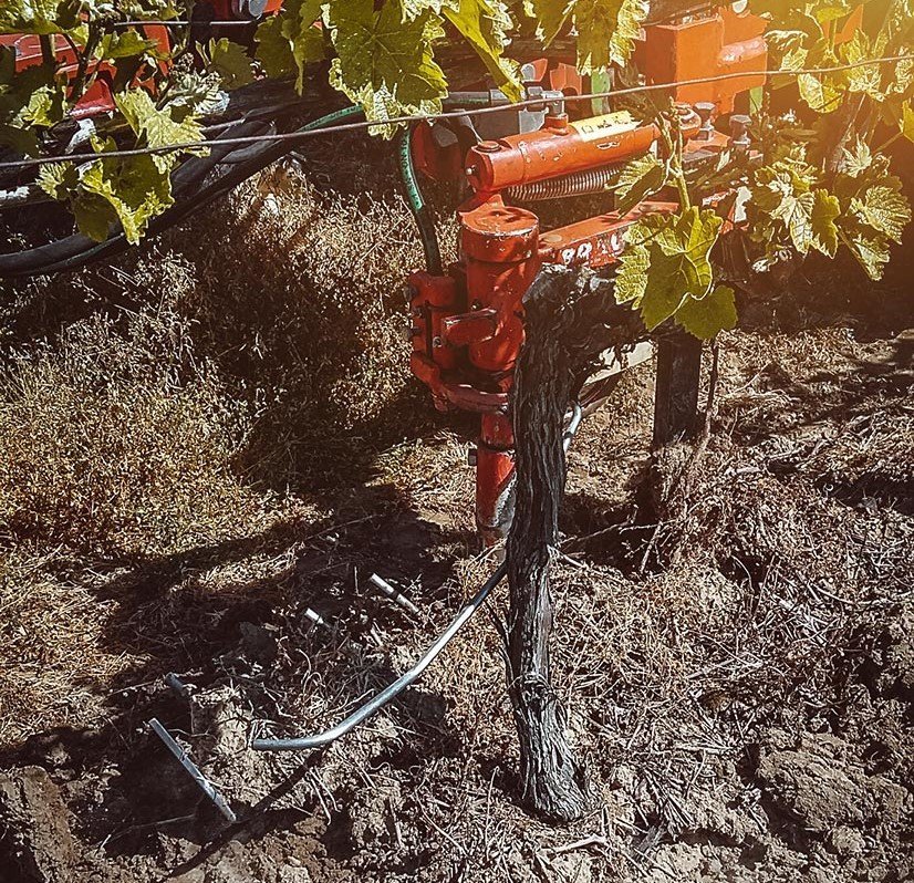 20170424_115750_resized_EDIT