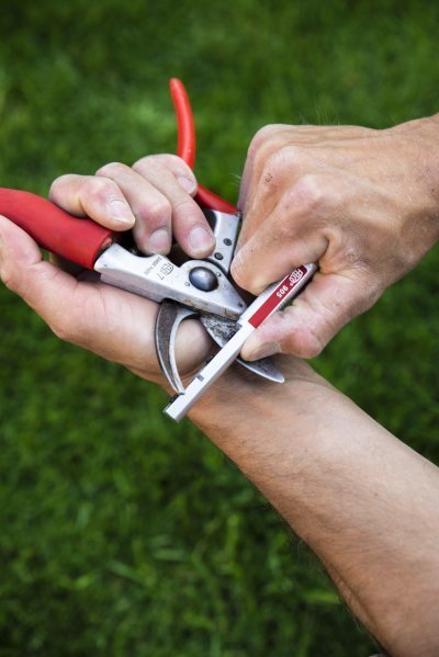 FELCO-905_1 FELCO-905_1