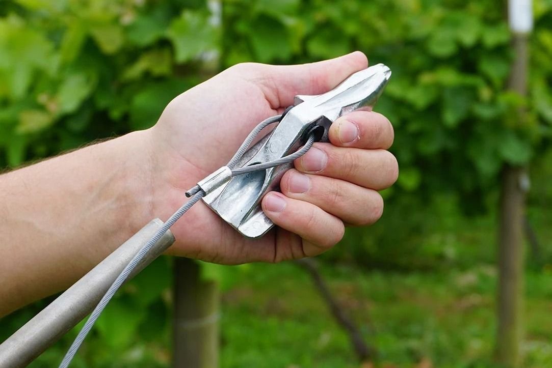 Anchoring_2 Anchoring_2