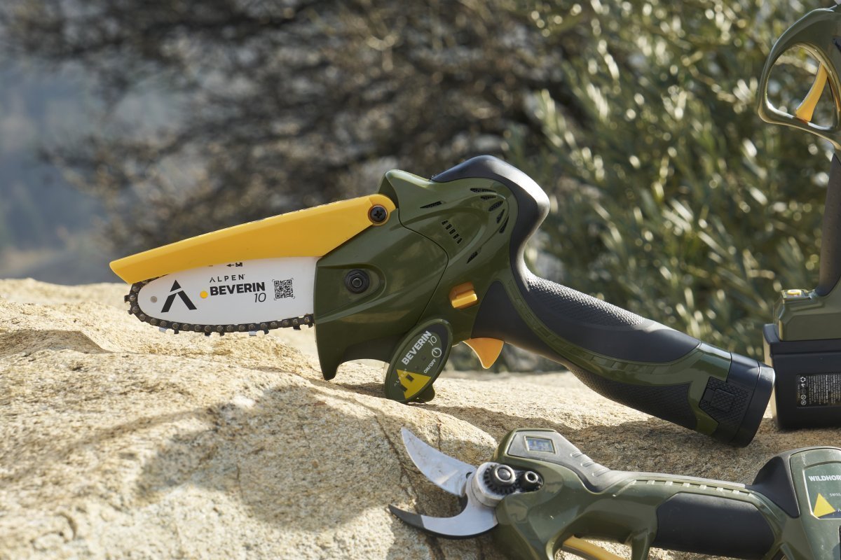 Beverin-10_1 Beverin-10_1