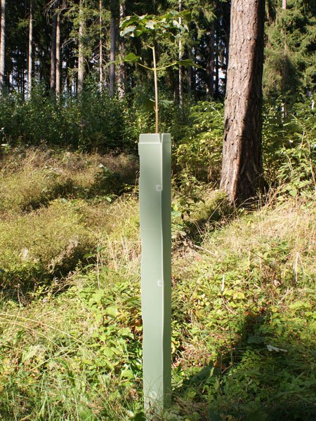 04d953134a7f361fb51ab5217841ea8c