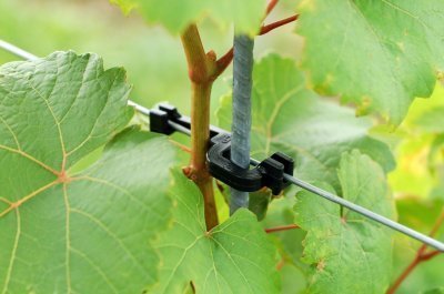 Obr1_Spona_Wellstabfix_1