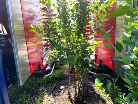 3Blueberry-Harvesting-Machine-JAGODA-300-JAGODA-JPS-Agromachines-480x360