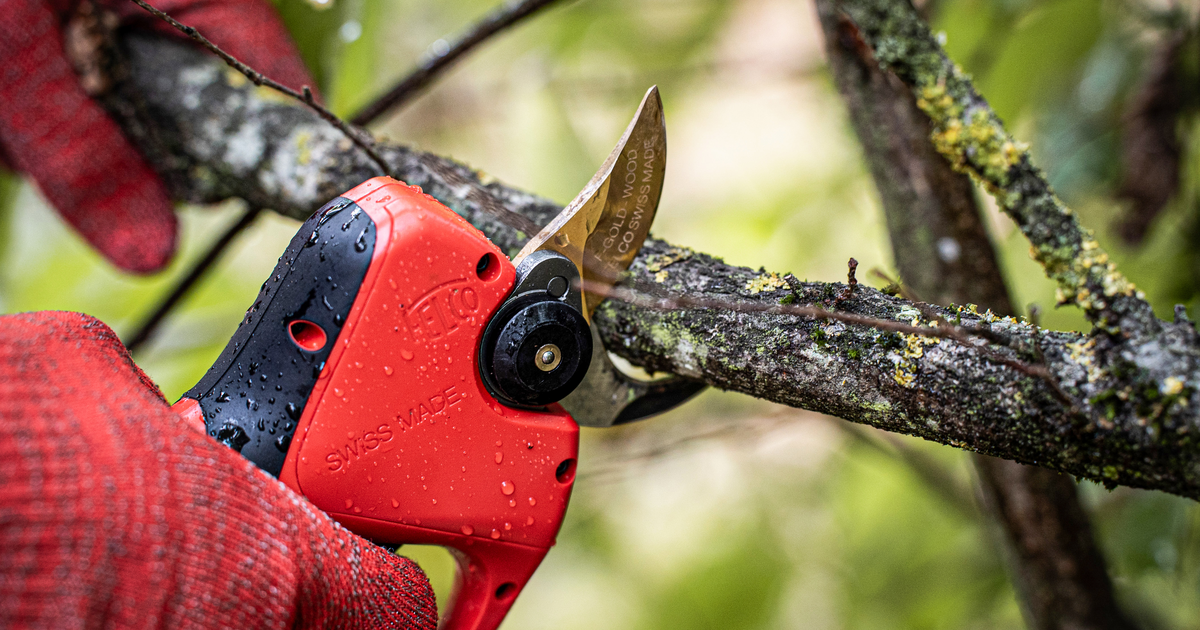 Facebook-FELCO-834-WOOD-08