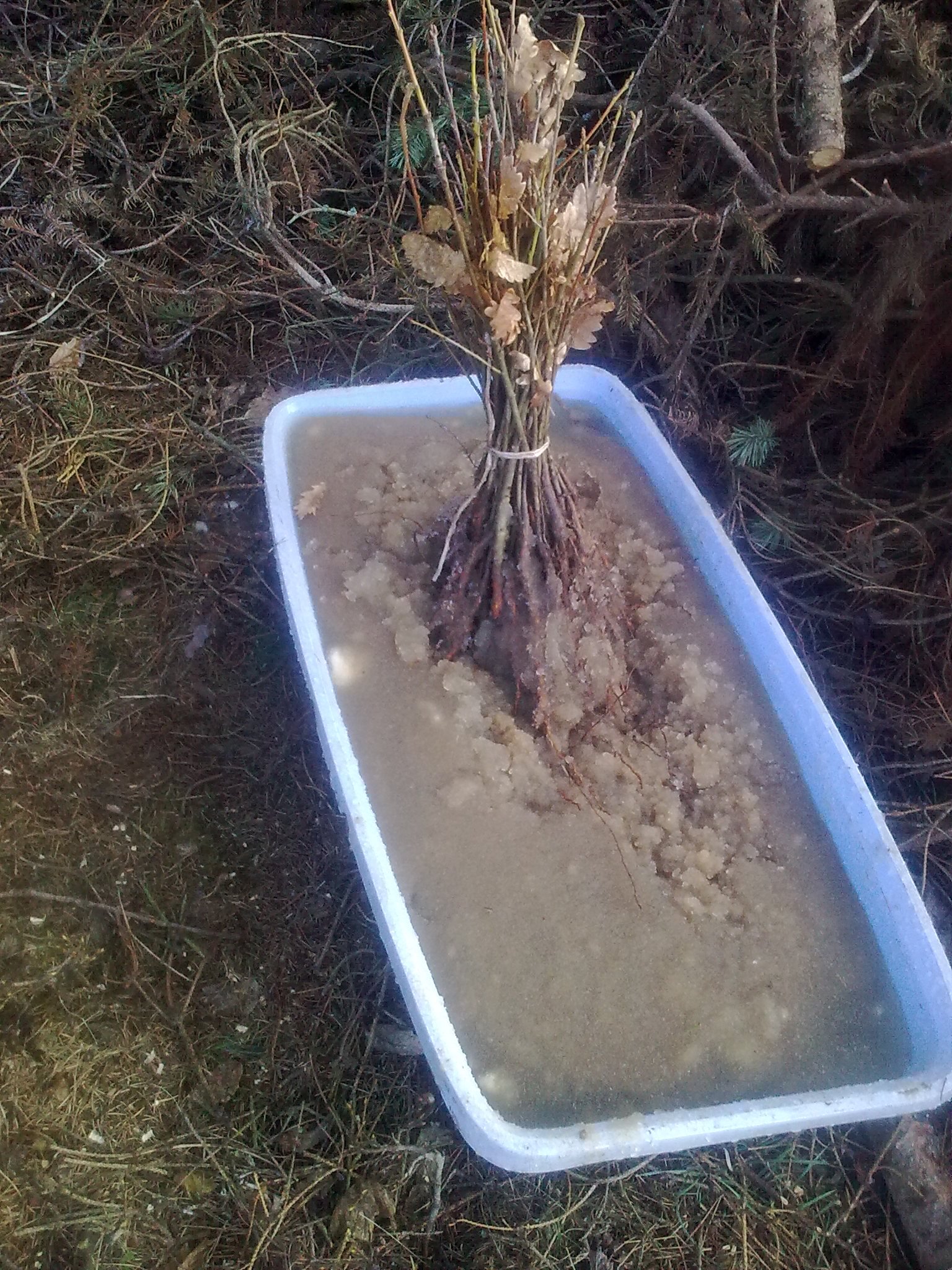 hydrogel_maceni_sazenic hydrogel_maceni_sazenic