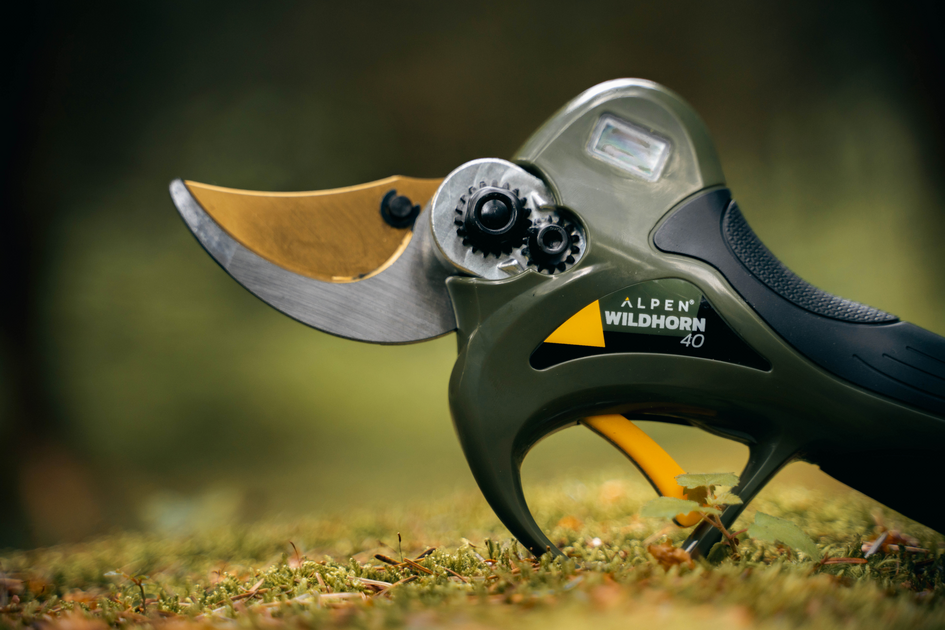 Facebook-ALPEN-2024_WILDHORN-40-03