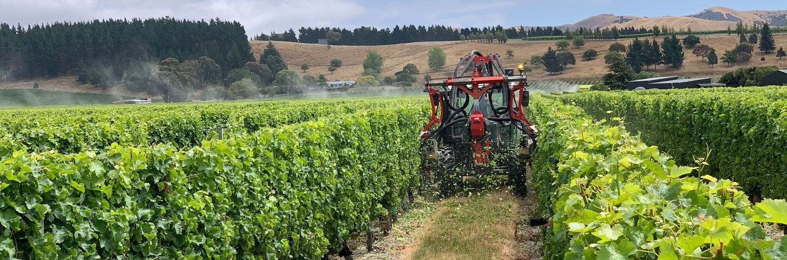 IMG_1353-84fec1a8-hl