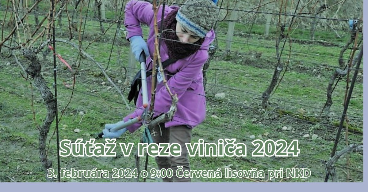 423236225_782082503954861_3252790026140144136_n 423236225_782082503954861_3252790026140144136_n