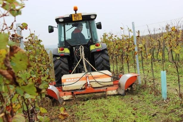 Ometac_alpha-kopie-kopie