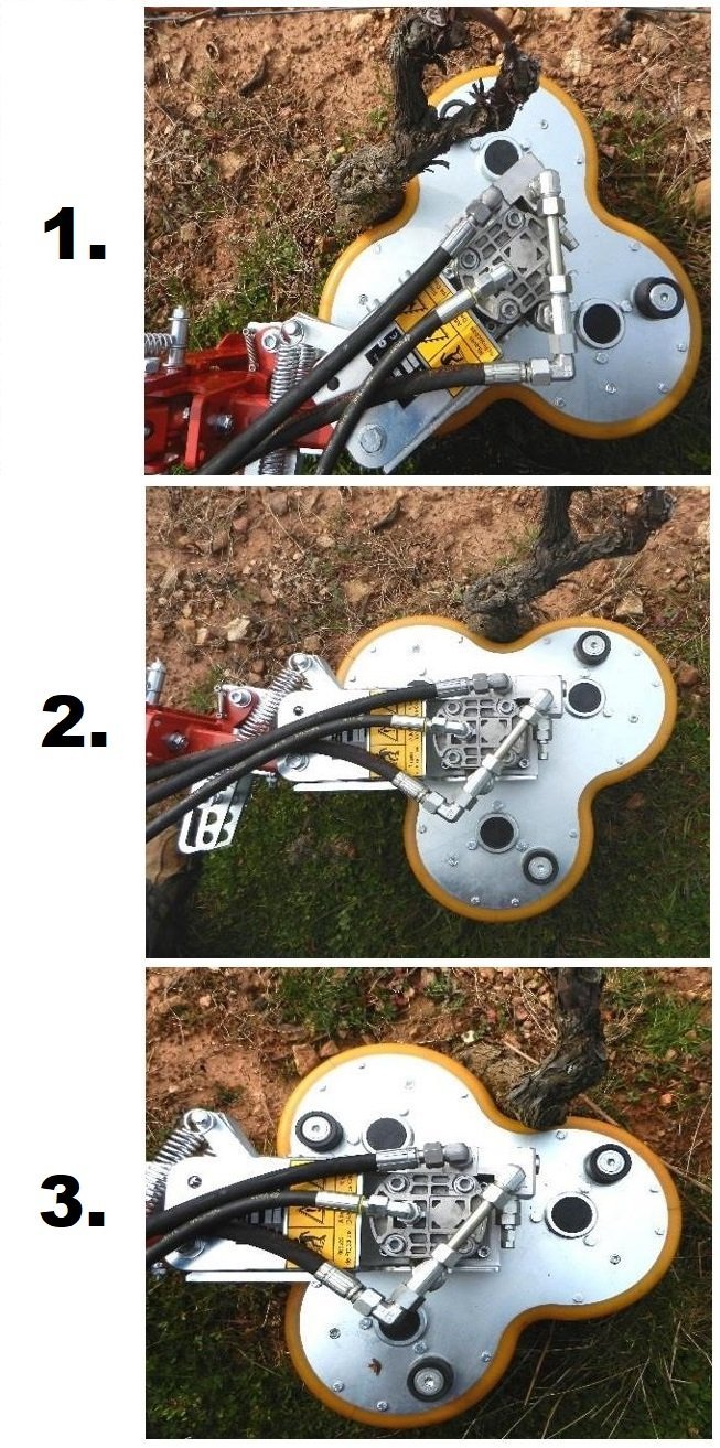 Trilistek-kopie Trilistek-kopie