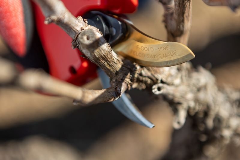 FELCO-834-V-in-vineyard